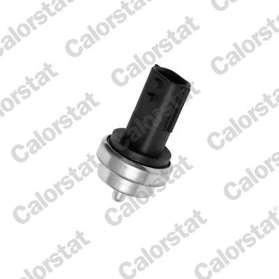 CALORSTAT by Vernet WS3019 Sensor, coolant temperature
