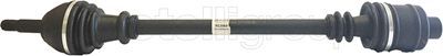 Drive Shaft CIFAM 655-055