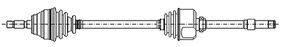 Drive Shaft CIFAM 655-378