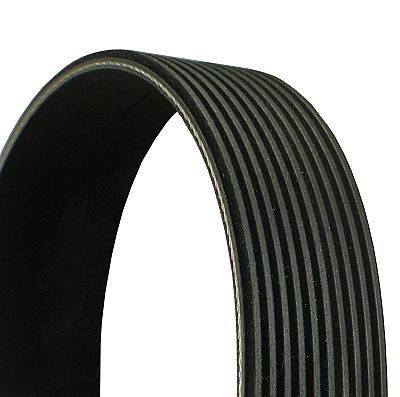 CONTINENTAL CTAM 10PK1620 V-Ribbed Belt