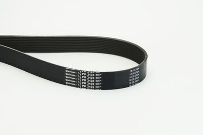 V-Ribbed Belt CONTINENTAL CTAM 10PK2495