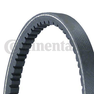 CONTINENTAL CTAM 11,9X710Ld V-Belt