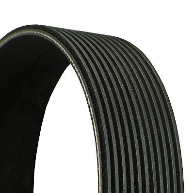 V-Ribbed Belt CONTINENTAL CTAM 11PK1890