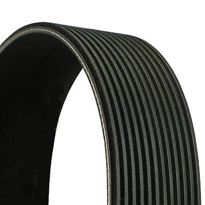 V-Ribbed Belt CONTINENTAL CTAM 12PK1870