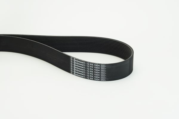 CONTINENTAL CTAM 12PK1934 V-Ribbed Belt