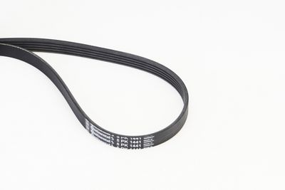 V-Ribbed Belt CONTINENTAL CTAM 5PK1441