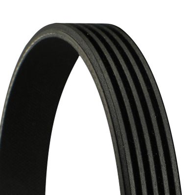 V-Ribbed Belt CONTINENTAL CTAM 5PK1482
