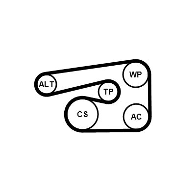 CONTINENTAL CTAM 5PK1546K1 V-Ribbed Belt Set