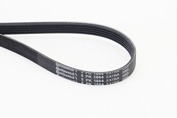 CONTINENTAL CTAM 5PK1664 EXTRA V-Ribbed Belt