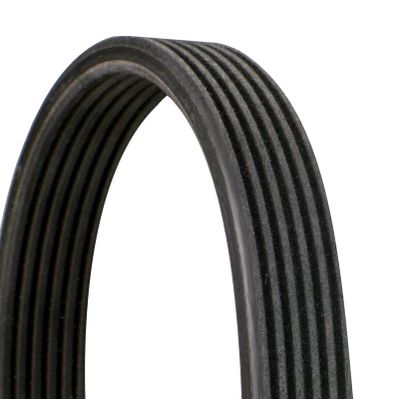 V-ribbed Belt CONTINENTAL CTAM 6DPK1215