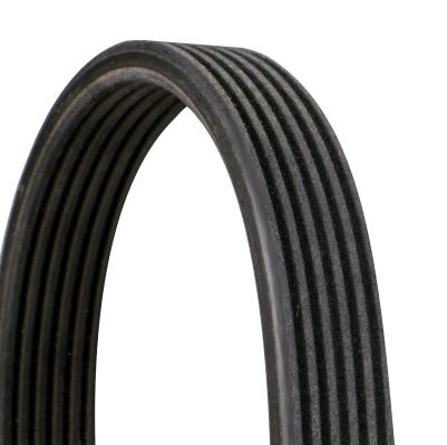CONTINENTAL CTAM 6DPK1853 V-Ribbed Belt