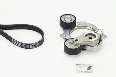 V-ribbed Belt Set CONTINENTAL CTAM 6PK1034 EXTRA K1