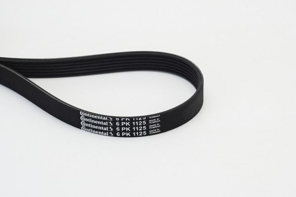CONTINENTAL CTAM 6PK1125 V-Ribbed Belt