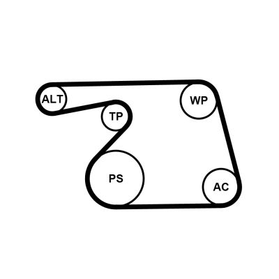 CONTINENTAL CTAM 6PK1318WP1 Water Pump + V-Ribbed Belt Kit