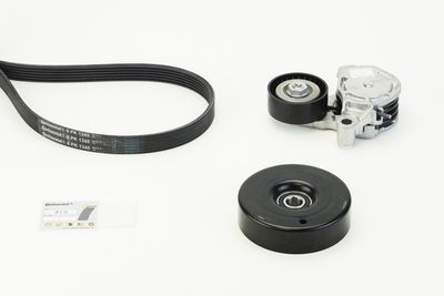 V-Ribbed Belt Set CONTINENTAL CTAM 6PK1345K3
