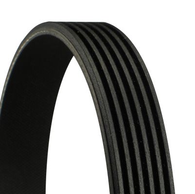 CONTINENTAL CTAM 6PK1380 V-Ribbed Belt