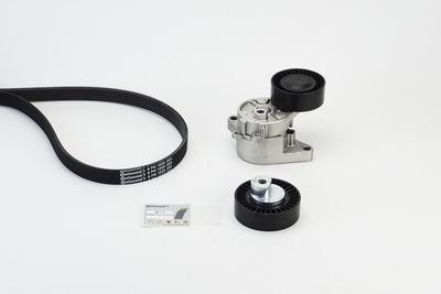 V-Ribbed Belt Set CONTINENTAL CTAM 6PK1555K2