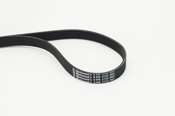 CONTINENTAL CTAM 6PK1733 V-Ribbed Belt