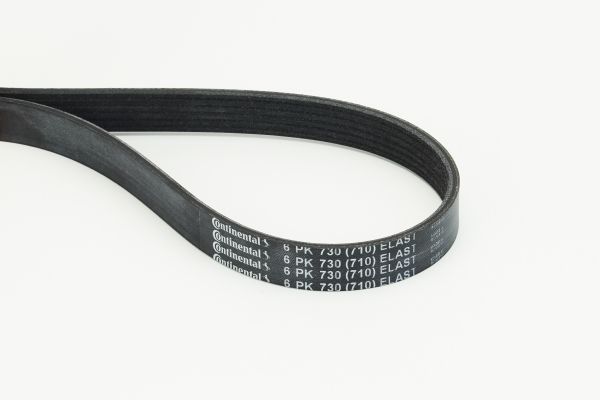CONTINENTAL CTAM 6PK730 ELAST V-Ribbed Belt