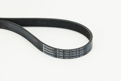 V-Ribbed Belt CONTINENTAL CTAM 6PK730 ELAST