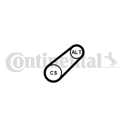 CONTINENTAL CTAM 6PK799 ELAST V-ribbed Belt