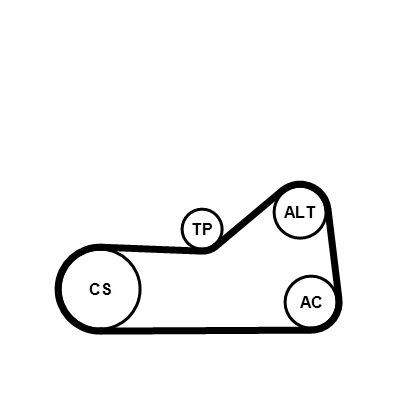 CONTINENTAL CTAM 6PK976WP1 Water Pump + V-Ribbed Belt Kit