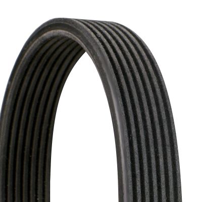 V-ribbed Belt CONTINENTAL CTAM 7DPK1697