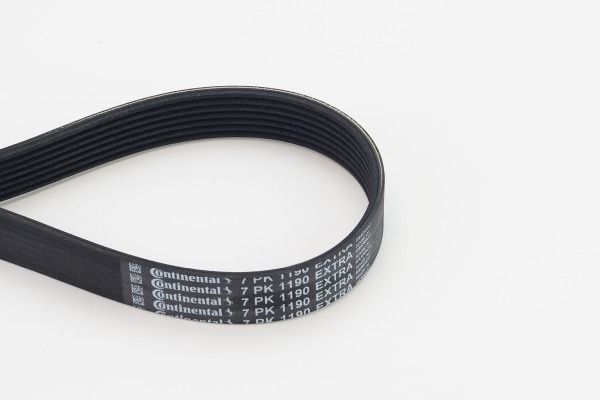 CONTINENTAL CTAM 7PK1190 EXTRA V-Ribbed Belt