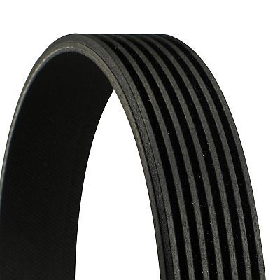 CONTINENTAL CTAM 7PK1715 V-Ribbed Belt