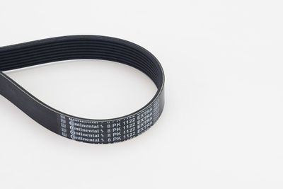 V-ribbed Belt CONTINENTAL CTAM 8PK1122 EXTRA