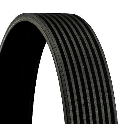 V-Ribbed Belt CONTINENTAL CTAM 8PK2155