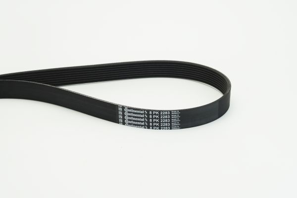 CONTINENTAL CTAM 8PK2283 V-Ribbed Belt