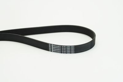 V-Ribbed Belt CONTINENTAL CTAM 8PK2283