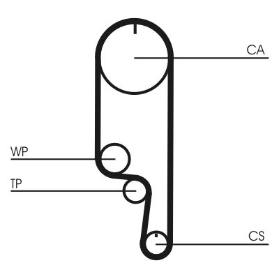 Water Pump & Timing Belt Kit CONTINENTAL CTAM CT1008WP2