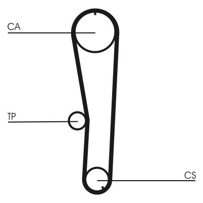 Timing Belt CONTINENTAL CTAM CT1072