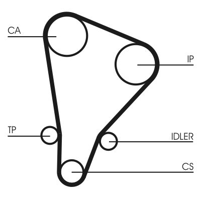 Timing Belt CONTINENTAL CTAM CT521