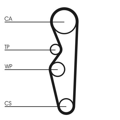 Timing Belt CONTINENTAL CTAM CT576