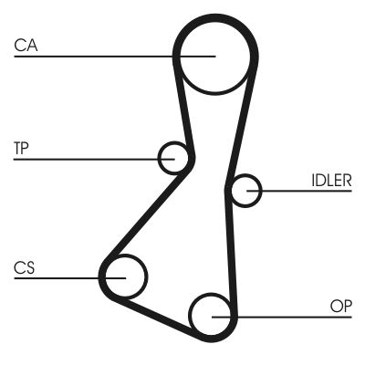 Timing Belt CONTINENTAL CTAM CT614