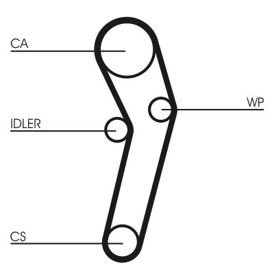Timing Belt CONTINENTAL CTAM CT631