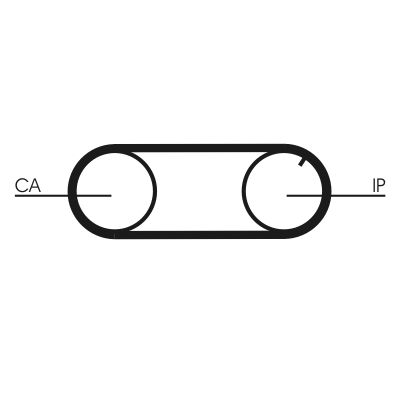 Timing Belt CONTINENTAL CTAM CT641