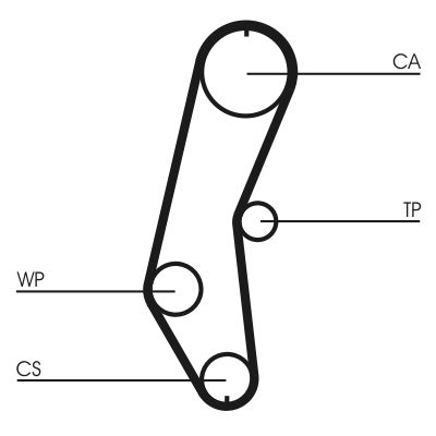 Timing Belt CONTINENTAL CTAM CT666