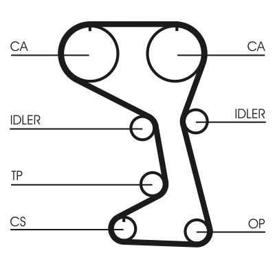 Timing Belt CONTINENTAL CTAM CT712