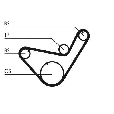 CONTINENTAL CTAM CT714 Timing Belt