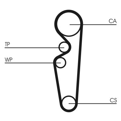 Timing Belt CONTINENTAL CTAM CT729
