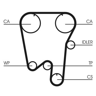 Timing Belt CONTINENTAL CTAM CT737