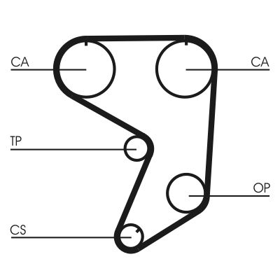 Timing Belt CONTINENTAL CTAM CT900