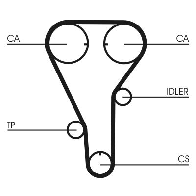CONTINENTAL CTAM CT972 Timing Belt