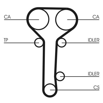 CONTINENTAL CTAM CT978WP2 Water Pump & Timing Belt Kit