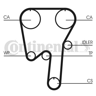 Timing Belt CONTINENTAL CTAM CT981