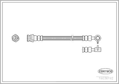 Brake Hose CORTECO 19036192